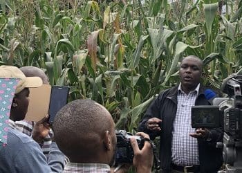 African scientists being interviewed by journalists on a field trip