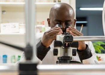 A scientist at CABI’s laboratories in Delémont, Switzerland