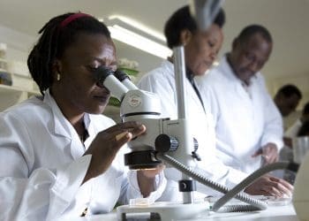 African scientists working in a laboratory