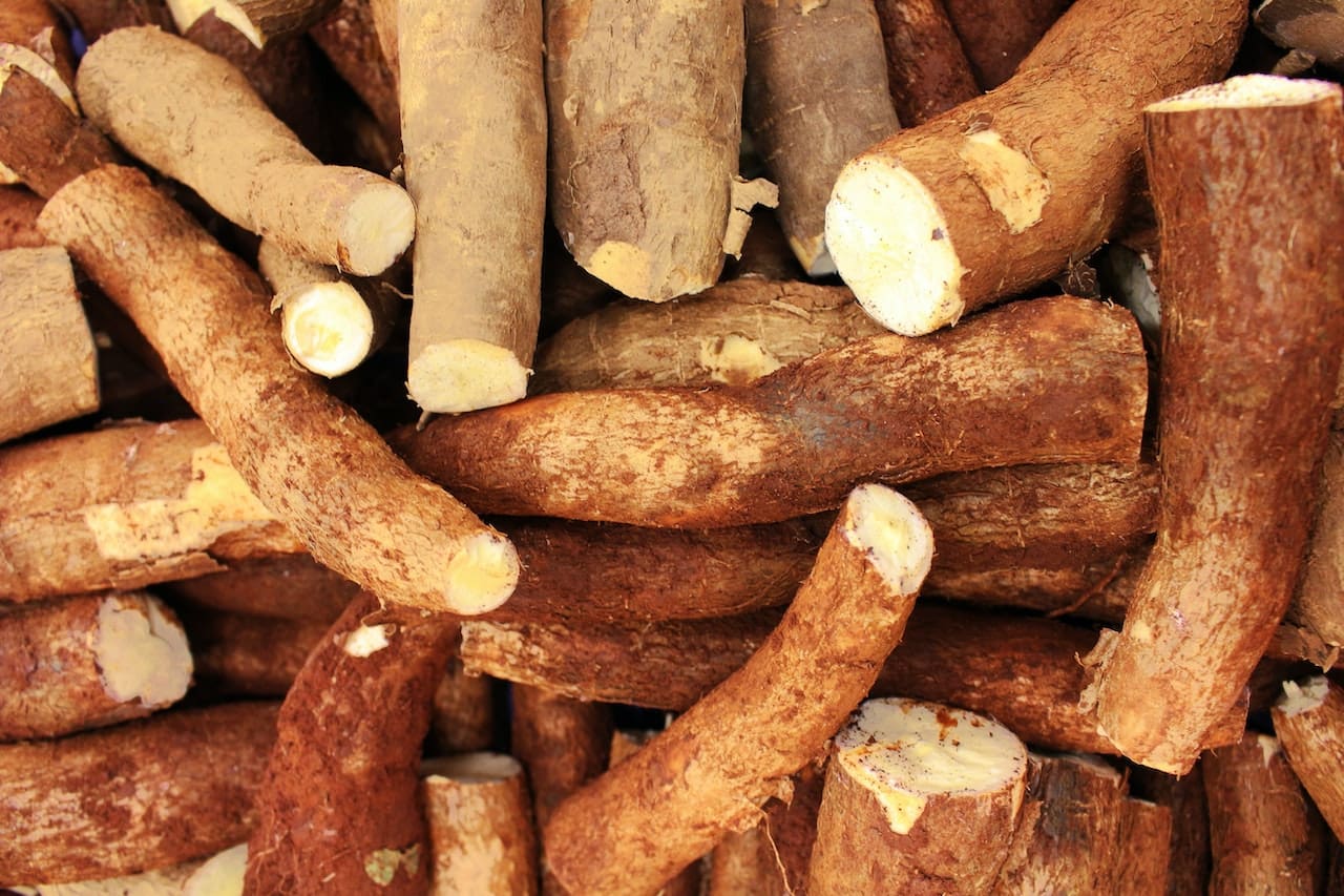 Dwindling cassava production