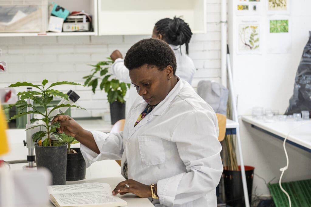 Female researcher working in lab